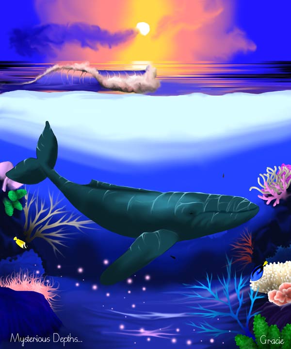 image humpback whale art print artworks paintings prints pictures computer graphic gallery